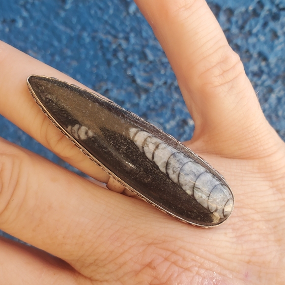 New Oversized Orthoceras Fossil 925 Silver Statement Ring. - Picture 3 of 16